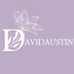 David Austin | ديفيد أوستن⚡️ - @davidaustin.3 - Instagram