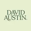 David Austin Roses - @david_austin_roses - TikTok