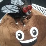 David Auble - @dvdauble - Instagram