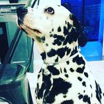David Auclair - @david.auclair12 - Instagram