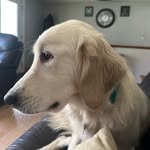 David Audet - @asshatteddy - Instagram