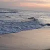 David audi - @user6183929254418 - TikTok