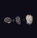 David Audi - Facebook