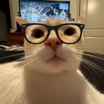 David Audi Bahtiar - @bahtiar_david - Instagram
