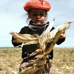 David Audisio - @david.audisio1 - Instagram