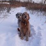 David Audley - @davidaudley - Instagram