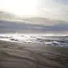 davidaudley1765 - @davidaudley1765 - TikTok