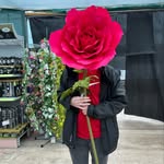 David Aughey - @dpa7968 - Instagram