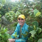 David Averill - @davidaverill - Instagram