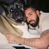 Davidavram1976 - @davidavram1976 - TikTok