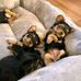 David Adison - Facebook