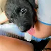 David Bazan - @david.bazan14 - TikTok