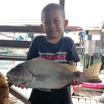 Azman David - @azman.david.14 - Instagram