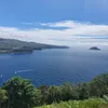 David Pereira - @davidazores - TikTok