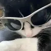 David Azzam - @david.azzam76 - TikTok