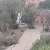 David Ban - @david.ban92 - TikTok