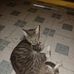 David Baack - Facebook