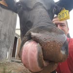 David Krejcárek - @david_baackacker - Instagram