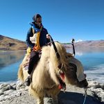 David Babin - @david.claudebabin - Instagram