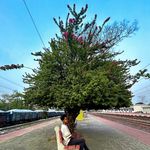🦋डेविड🦋 - @da_v_id_babu - Instagram