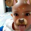Daniel David Bacalso - @danielbacalso - TikTok