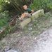David Ionel Bacoș - Facebook