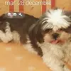 David Bacchiddu - @david.bacchiddu - TikTok