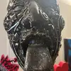 David Bach - @david.bach02 - TikTok
