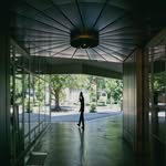 David Fan Bächi 江帆 - @deijva - Instagram