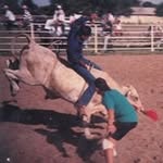 David Bachmayer - @davidbachmayer - Instagram