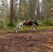 David Backlund - Facebook