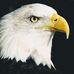 David Badami - Facebook