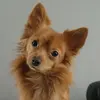davidbaert846 - @davidbaert846 - TikTok