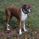 David Baggett - @david.baggett.77 - Instagram