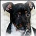 David baggott photography - Facebook