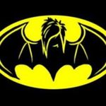 David Bagwell - @batmanssuccessor307 - Instagram