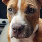 David Baham - @david.baham.77 - Instagram