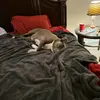 davidbahl975 - @davidbahl975 - TikTok