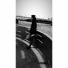 David Bähner917 - @dev220897 - TikTok