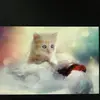 david.bai6 - @david.bai6 - TikTok