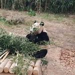 David Baik - @davidbaik2002 - Instagram