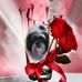 David Baisden - Facebook