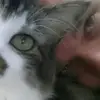 Davey_Darkcloud - @davidbaity - TikTok