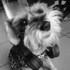 davidbajz - @davidbajz - TikTok