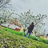 david.baka - @david.baka - TikTok