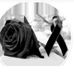 David Bakos - Facebook