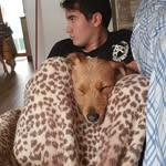 david  balbuena creed - @davidbalbuena_creed - Instagram