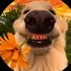 davidbaldwinnhwik152 - @davidbaldwinnhwik152 - TikTok