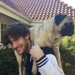 David Baldachin - @david_baldachin - Instagram