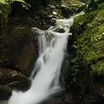 David Baldi - @baldino81 - Instagram